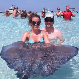 Meet your Posher, Molly